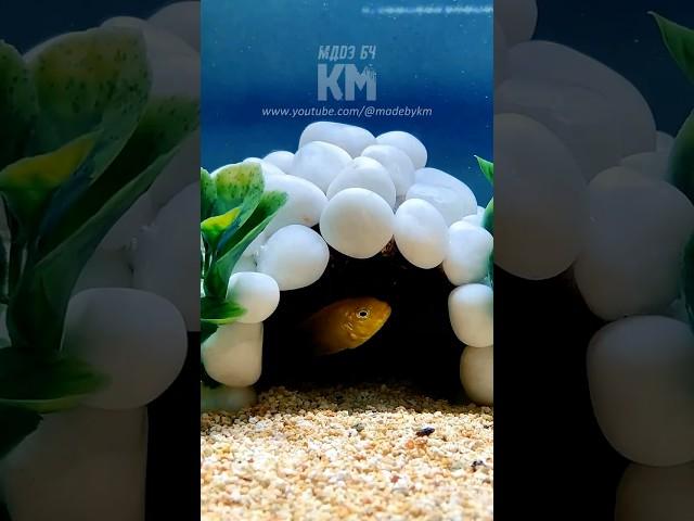  Stunning DIY Fish Cave for Happy Aquatic Friends