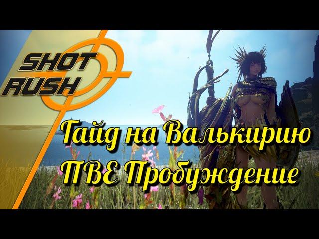 Black Desert / BD: Гайд на Валькирию (в ПВЕ - Пробуждение) от 26.03.24