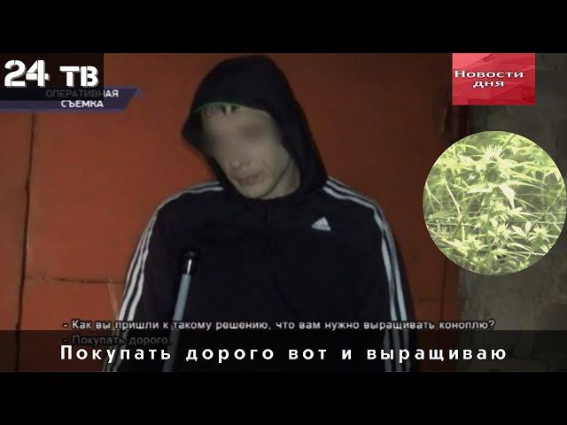 Покупать дорого вот и выращиваю. Полицейские пресекли незаконную культивацию конопли.