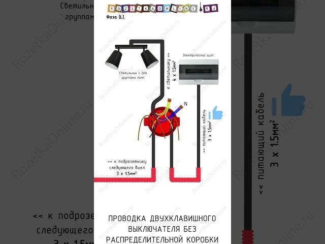  Двухклавишный выключатель без распределительной коробки  #электрика #выключатель #проводка #свет