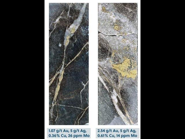 Collective Mining Makes Porphyry Discovery At San Antonio Project, Interview With CEO Ari Sussman