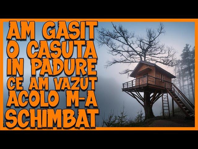 AM GASIT O CASUTA IN PADURE CE AM VAZUT ACOLO M-A SCHIMBAT