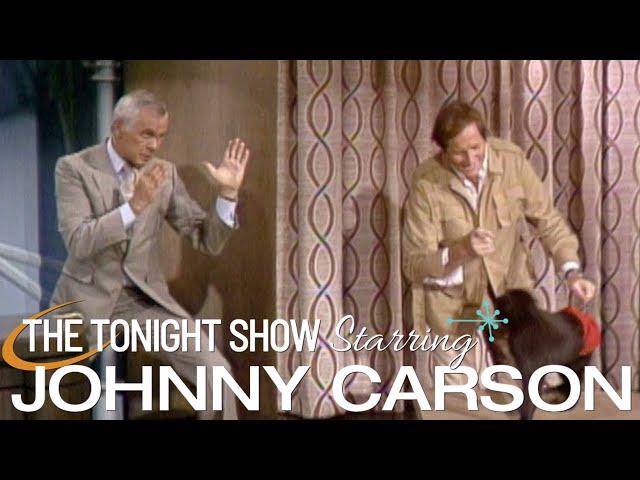 Johnny Gets Punched By A Baboon with Jim Fowler - Carson Tonight Show