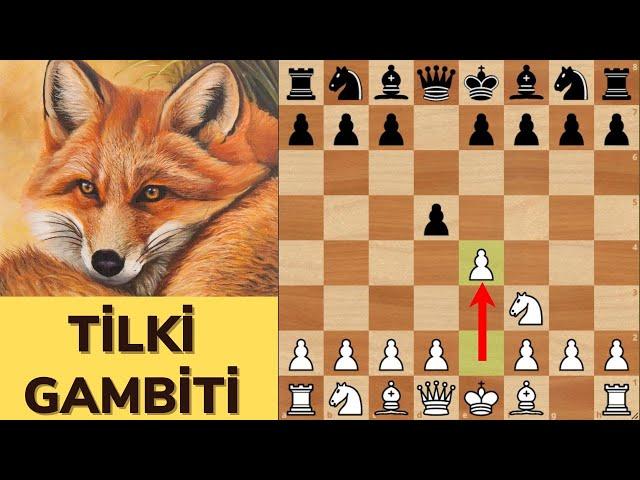 TİLKİ  (TENNISON) GAMBİTİ - MÜTHİŞ BİR AÇILIŞ SİLAHI!