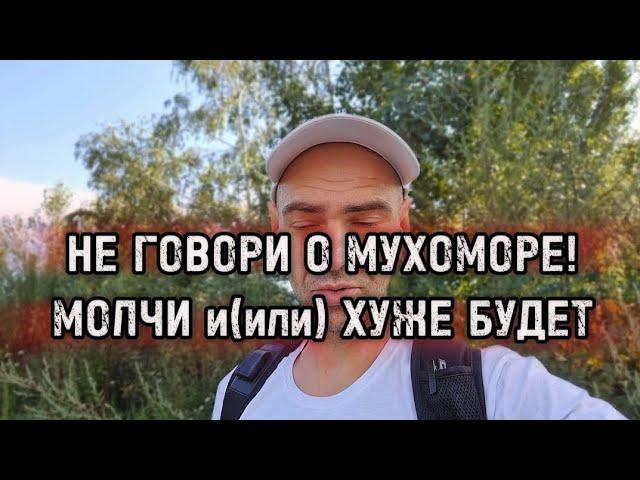 Когда не стоит говорить о мухоморе, а когда нужно это делать.