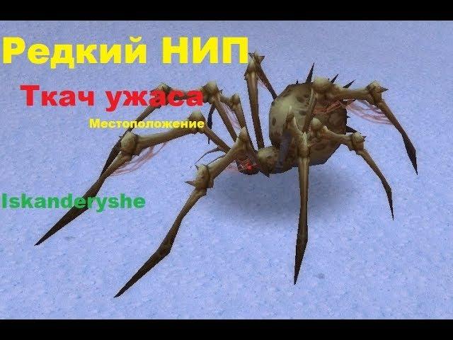 Редкий НИП - "Ткач ужаса" - Местоположение.