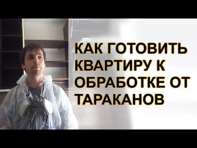 Как подготовить квартиру к обработке от тараканов