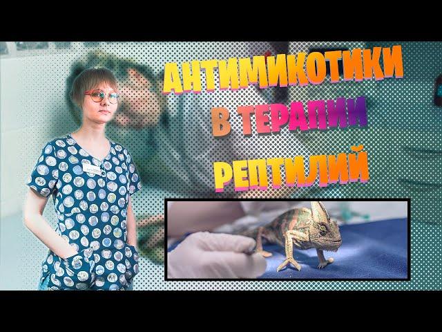 Антимикотики в терапии рептилий