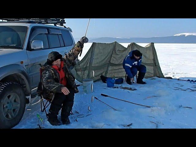 Рыболовное путешествие в Де Кастри. 18 - 25.01.2020 г. Часть 3. Пролив Невельского. Корюшка, зубарь.