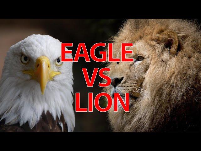 Myles munroe Lion and eagle Motivation