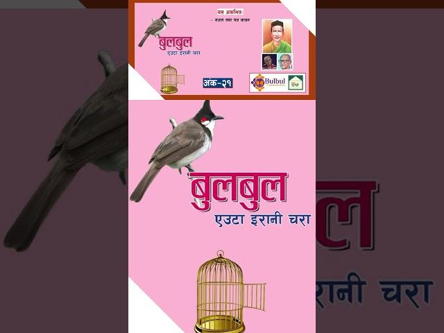 #bulbul #nepalichhapro #nepalisahitya #gazalprogram #gazal #nepaligazal #gazalbachan #shorts