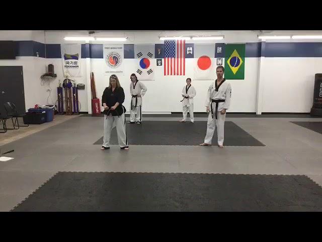 Tae Kwon Do workout 4 30 20