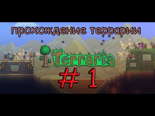 ПРОХОЖДЕНИЯ TERRARIA EXPERT #1 - ПОСТРОЙКА ДОМА