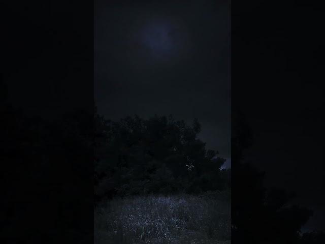 Chronicles from nowhere.#darkness #forest #darkfeathertouch#clouds #divine_forest#trees_of_darkness_