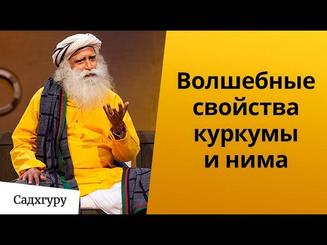 Волшебные свойства куркумы и нима | Еженедельный дискурс с Садхгуру 22 ноября 2020