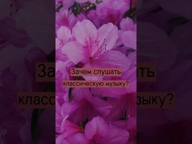 зачем слушать классическую музыку? #раннееразвитие  #урокионлайн #репетитор