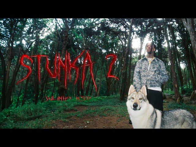 JULINHO KSD - Stunka 2