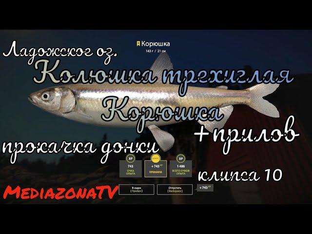 #рр4 Ладожское оз. Корюшка  Колюшка + прокачка донки 07.07