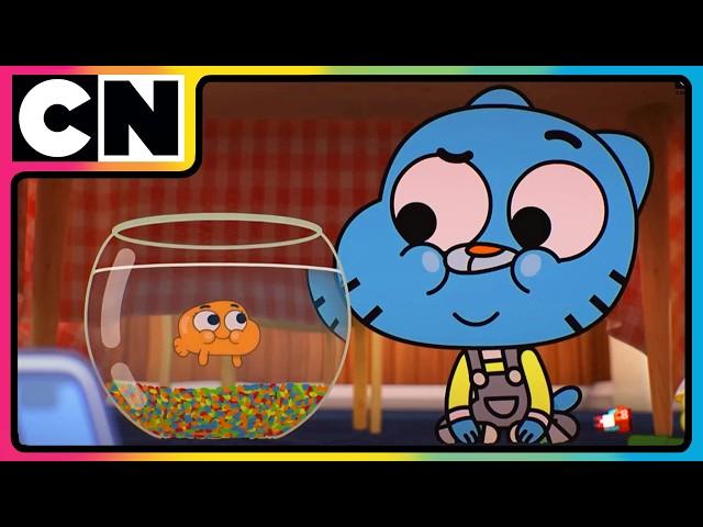 The Amazing World of Gumball| How Darwin Joined the Wattersons! | Animated Cartoon | @cnindia