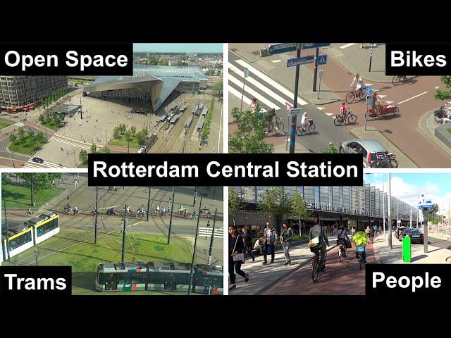 Rotterdam Central: A Peaceful Transportation Hive of Human Activity