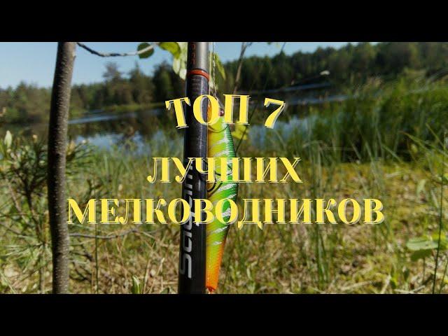 Топ 7 лучших приманок для мелководья.