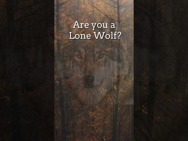 Do You Have a Lone Wolf Personality? Top 10 Signs #shorts