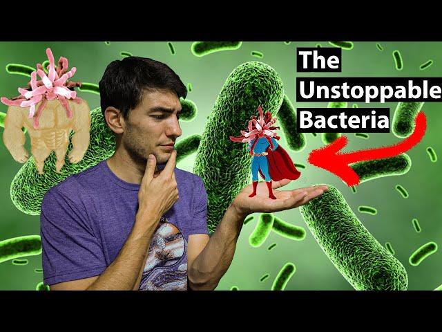 The Super Bacteria You've Never Heard Of...