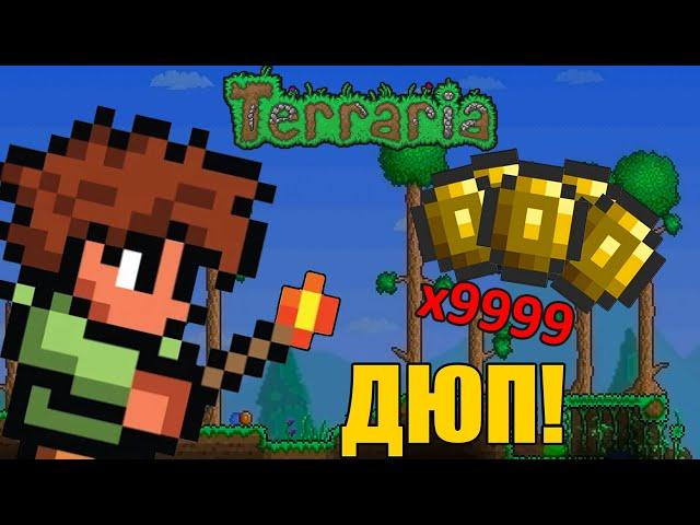 САМЫЙ простой ДЮП в Terraria! (Баг, Размножение вещей)