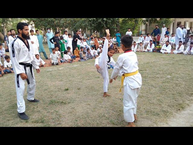 Karate Kid Best Knockouts and Stunts || Taekwondo Kid