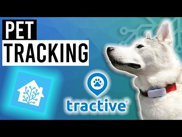 Simple GPS Pet Tracking in HOME ASSISTANT