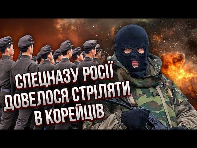 ️Дивіться! КОРЕЙЦІ НА ФРОНТІ ТАКЕ УЧУДИЛИ... Бійня з РОСІЯНАМИ. Довелося ТІКАТИ З КУРСЬКА