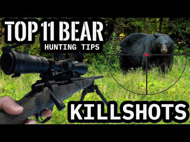 11 BEST BEAR HUNTING KILL SHOTS