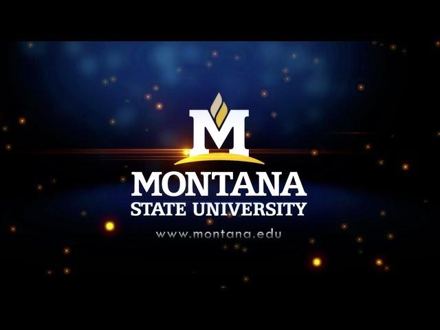 Life at Montana State University