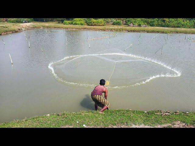 Amazing Net Fishing In River With Beautiful Village Fishing Video