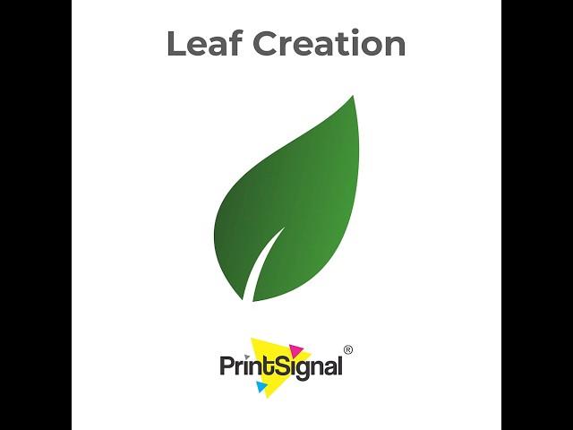 Coral Draw Tutorial for Beginners | Freehand Tool Basic Knowledge | Leaf Art Vector Graphic Design!