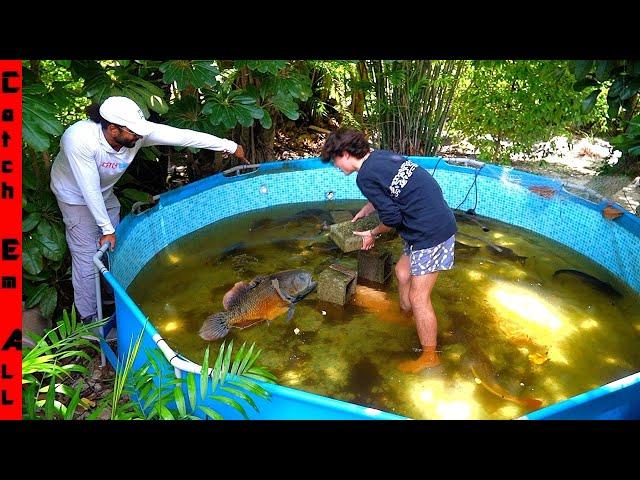 WALKING in PIRANHA FISH Filled JUNGLE POOL!