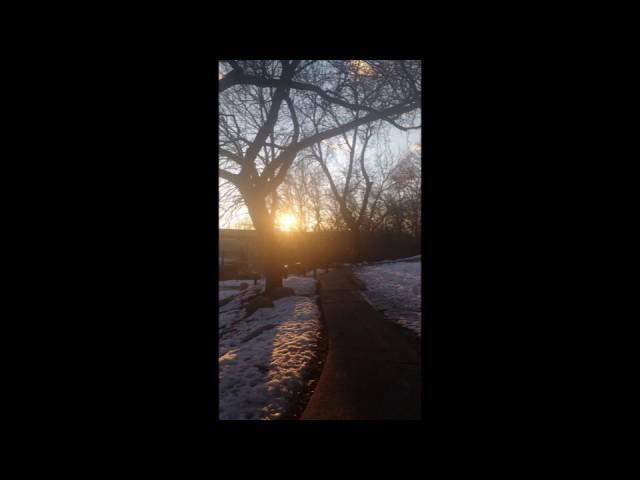 Young and Beautiful | Cover by SomeRandomDorkyDiva