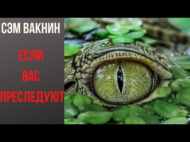 ВАКНИН ПО-РУССКИ Что делать, если преследует психопат, нарцисс, параноик или эротоманьяк? Перевод