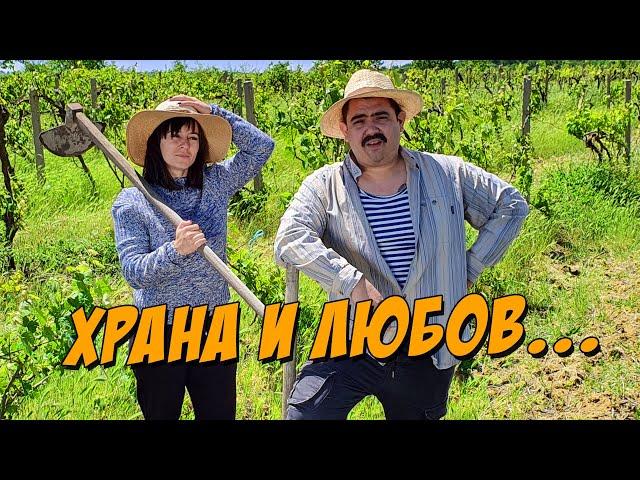 Храна и Любов