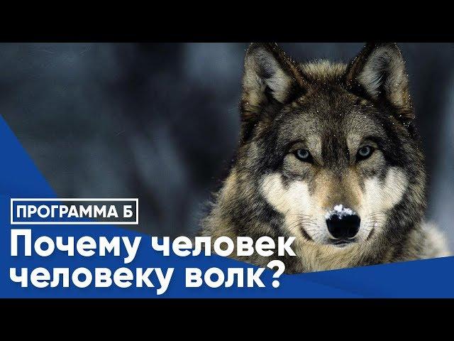 Почему человек человеку волк?