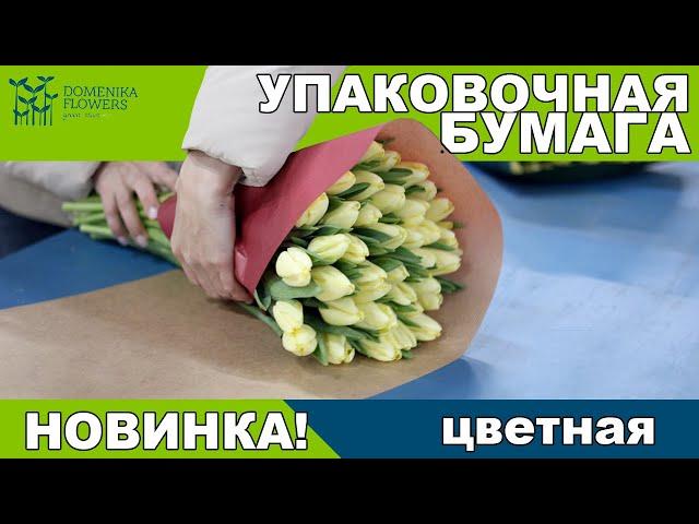 НОВИНКА! Цветная бумага для упаковки ТЮЛЬПАНА.