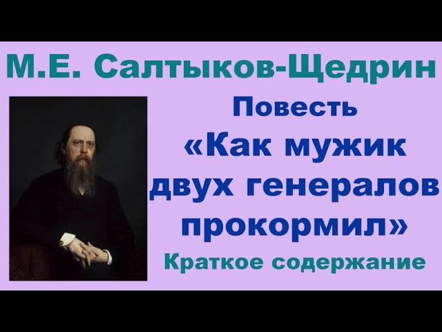 М.Е. Салтыков-Щедрин. Повесть «Как мужик двух генералов прокормил». Краткое содержание.