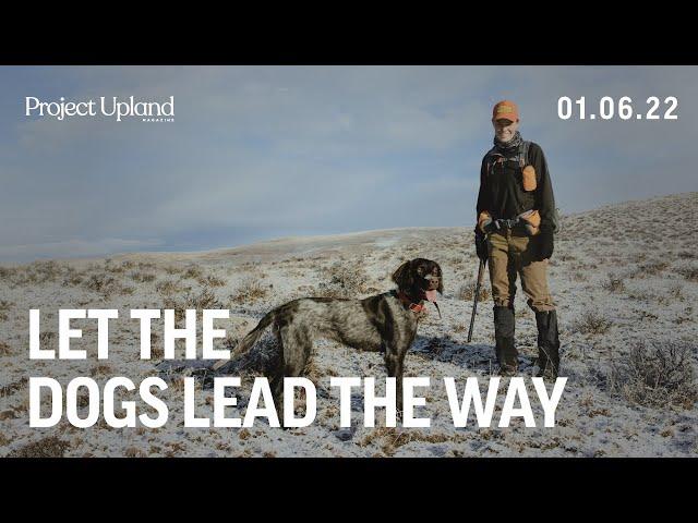 Let the Dogs Lead the Way - Upland Hunting Washington State with Pointing Dogs