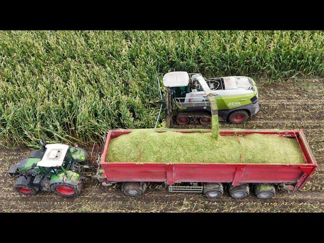 CLAAS JAGUAR 990TT am Mais häckseln / Abfahrer FENDT 722 / DEHR AGRARSERVICE / 4K