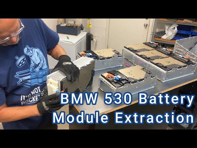 BMW 530e Hybrid Battery Pack Module Extraction