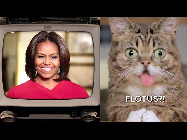 Lil BUB's Big SHOW Episode 13: Michelle Obama