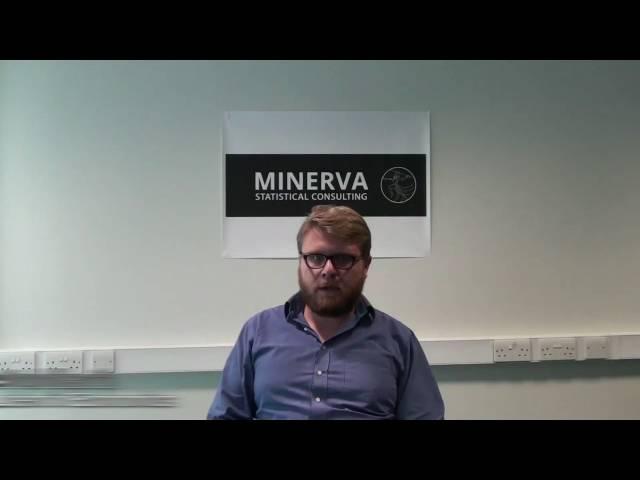 Minerva Statistical Consulting