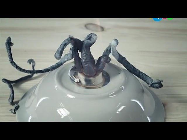 Простая наука - Фараонова змея (новые серии)