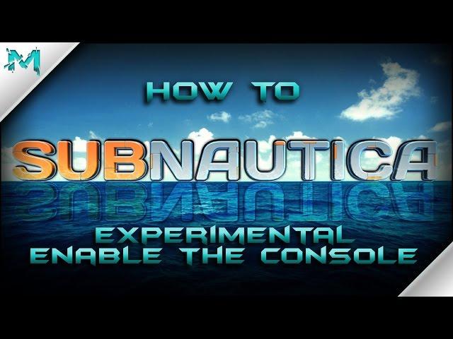 Subnautica How to Enable the Console Commands and Experimental!