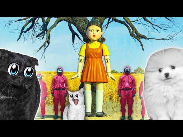 КОШКИ играют в Игру КАЛЬМАР в РЕАЛЬНОЙ ЖИЗНИ!!!